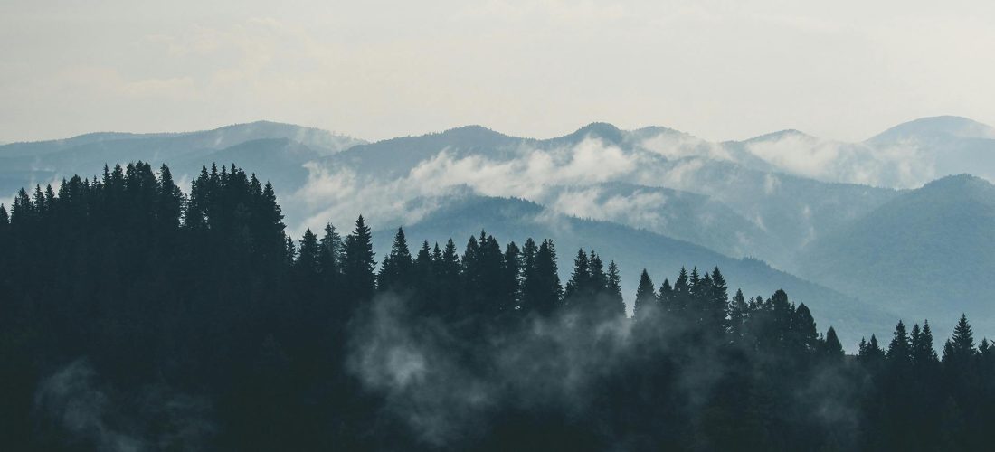 pexels-creative-vix-9754